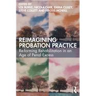 Reimagining Probation Practice