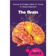 The Brain A Beginner's Guide