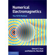 Numerical Electromagnetics