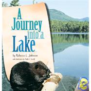 A Journey into a Lake
