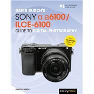 David Busch's Sony Alpha A6100/ILCE-6100 Guide to Digital Photography