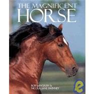 The Magnificent Horse