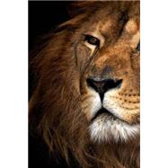 Mindblowing Cute Big Cats Journal