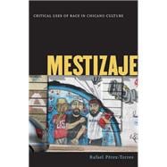 Mestizaje : Critical Uses of Race in Chicano Culture