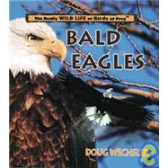 Bald Eagles