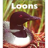 Loons