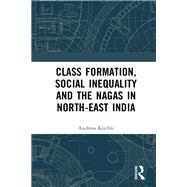 Class Formation, Social Inequality and the Nagas in North-East India