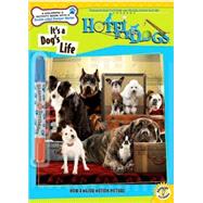 It's a Dog's Life