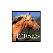 The Big Book of Horses: The Illustrated Guide to More Than 100 of the World's Best Breeds