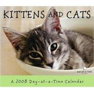 Kittens and Cats 2008 Calendar