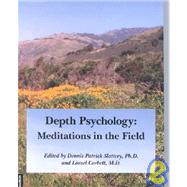 Depth Psychology : Meditations in the Field: Essays from Pacifica Graduate Institute