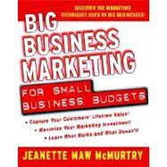 Big Business Marketing for Small Business Budgets