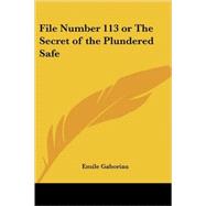 File Number 113 or the Secret of the Plundered Safe