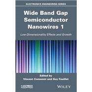Wide Band Gap Semiconductor Nanowires 1 Low-Dimensionality Effects and Growth