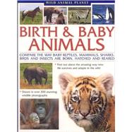 Birth & Baby Animals: Compare the Way Baby Reptiles, Mammals, Sharks, Birds and Insects Are Born, Hatched and Reared