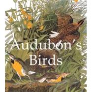Audubons Birds