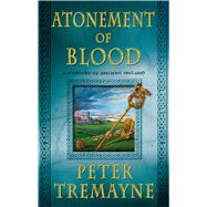 Atonement of Blood A Mystery of Ancient Ireland