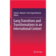 Gang Transitions and Transformations in an International Context