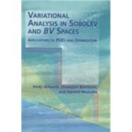 Variational Analysis in Sobolev And Bv Spaces