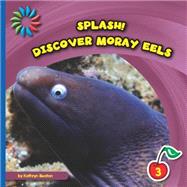 Discover Moray Eels