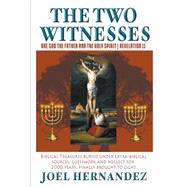 The Two Witnesses are God the Father and The Holy Spirit - Revelation 11
