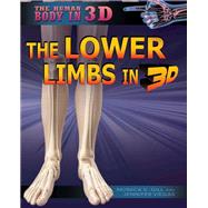 The Lower Limbs in 3d