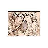 Songbirds 2002 Calendar