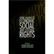 Giving Meaning to Economic, Social, and Cultural Rights