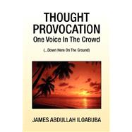 Thought Provocation: One Voice in the Crowd (...down Here on the Ground)