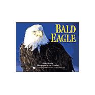 Bald Eagle Calendar 2002