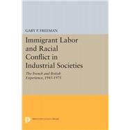 Immigrant Labor and Racial Conflict in Industrial Societies