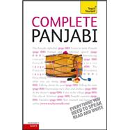 Complete Panjabi: A Teach Yourself Guide