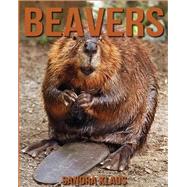 Amazing Facts & Pictures About Beavers