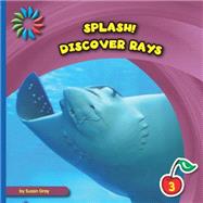 Discover Rays