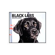 Black Labrador Retrievers 2003 Calendar