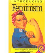 Introducing Feminism