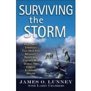 Surviving the Storm : Investment Strategies That Help You Maximize Profit and Control Risk During the Coming Economic Winter