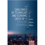 The Challenges of Technology and Economic Catch-up in Emerging Economies