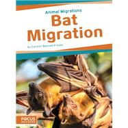 Bat Migration