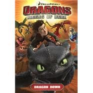 Dragons: Riders of Berk 1: Dragon Down