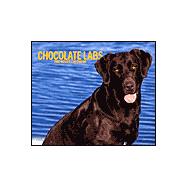 Chocolate Labrador Retrievers 2003 Calendar