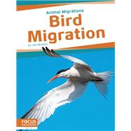 Bird Migration
