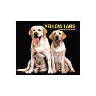 Yellow Labrador Retrievers 2003 Calendar