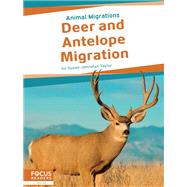 Deer and Antelope Migration