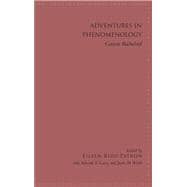 Adventures in Phenomenology
