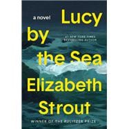 Lucy by the Sea A Novel