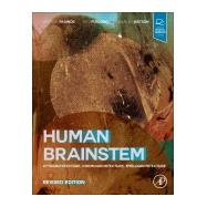 Human Brainstem