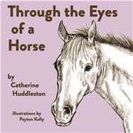 Through the Eyes of a Horse
