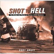 Shot to Hell : Stories and Photos of Ravaged WWII Warbirds