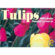 Tulips 2006 Calendar